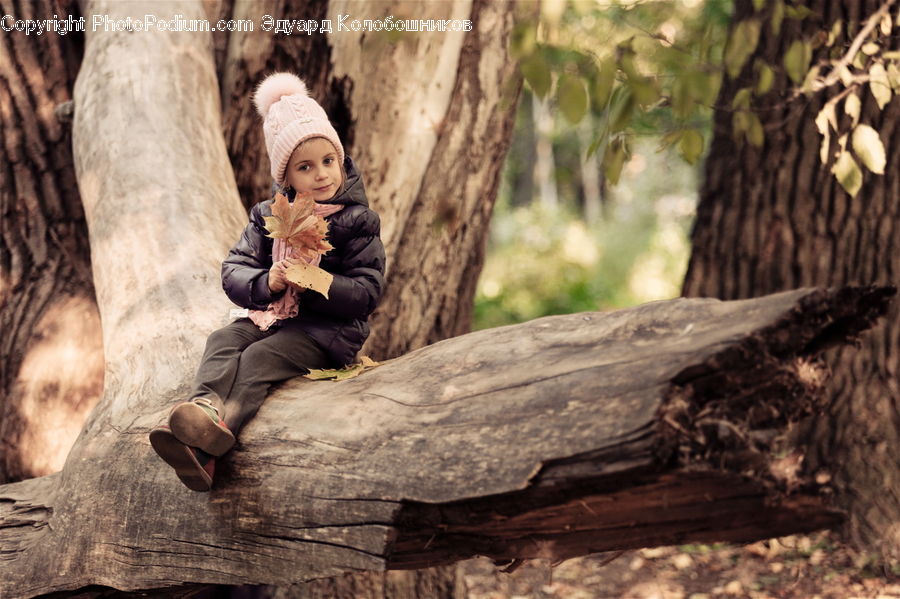 Fir, Redwood, Tree, Wood, Person, Portrait, Selfie