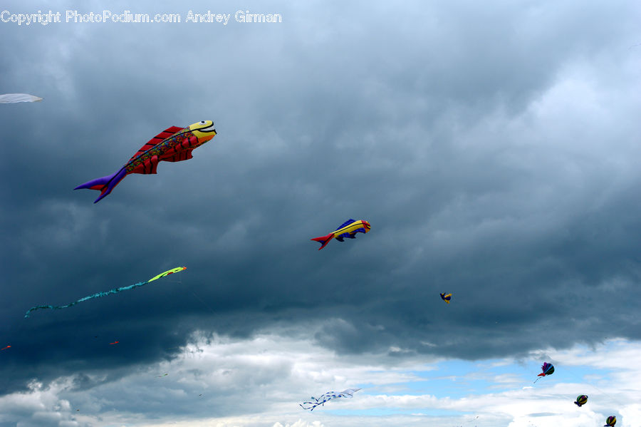 Kite, Adventure, Flight, Gliding, Flying
