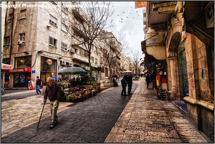 Plant, Potted Plant, Road, Street, Town, Leisure Activities, Walking