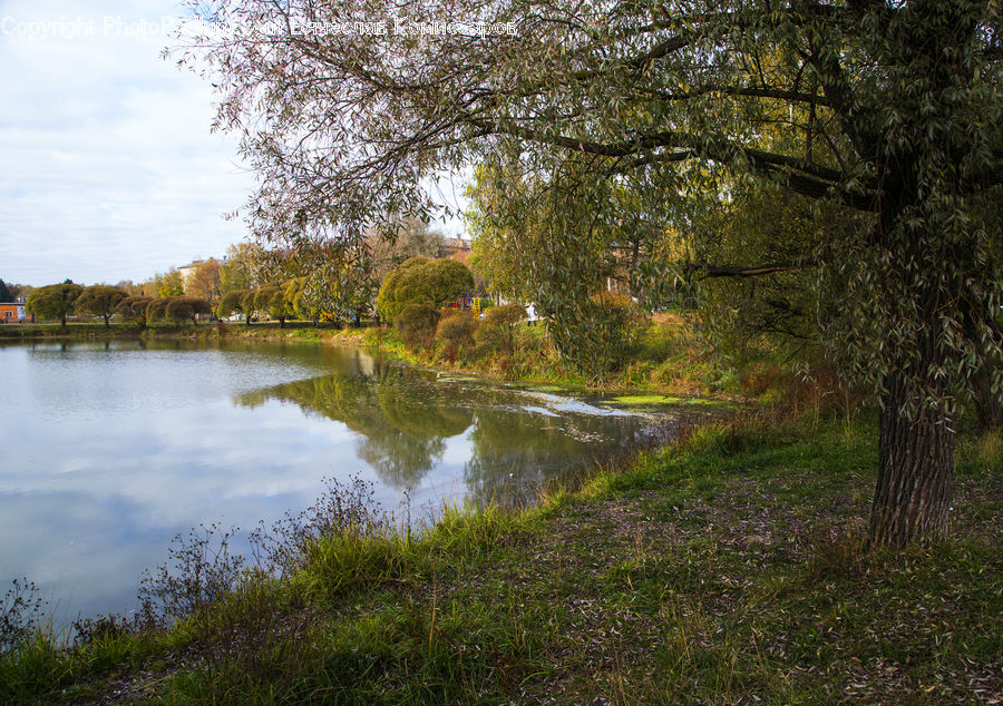 Canal, Outdoors, River, Water, Pond, Dirt Road, Gravel