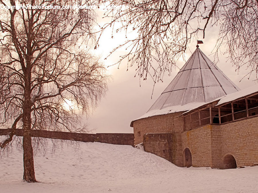 Landscape, Nature, Scenery, Plant, Tree, Architecture, Church
