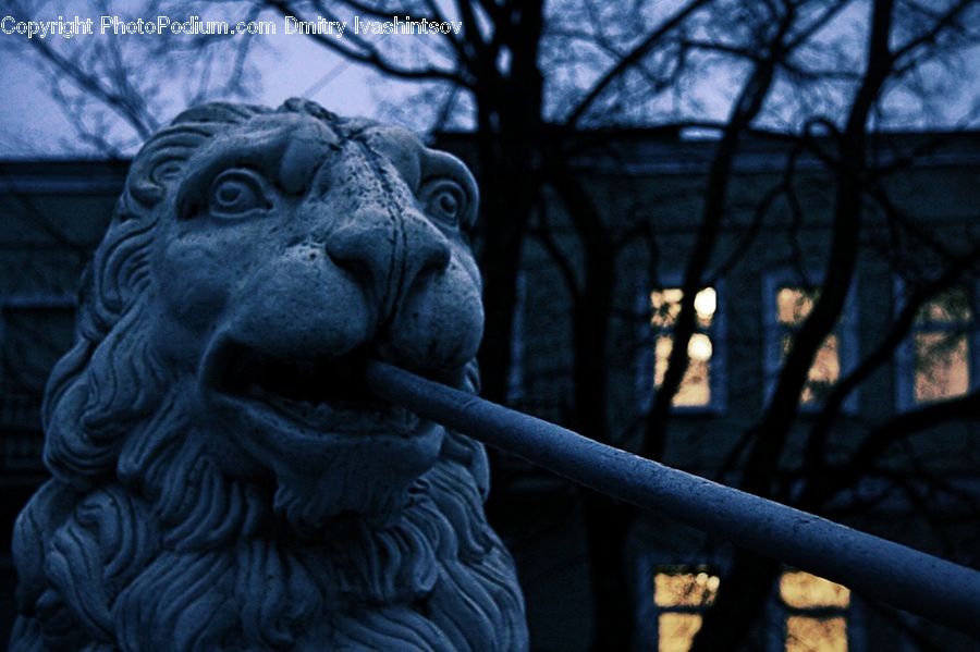 Art, Gargoyle, Statue, Plant, Tree, Banister, Handrail