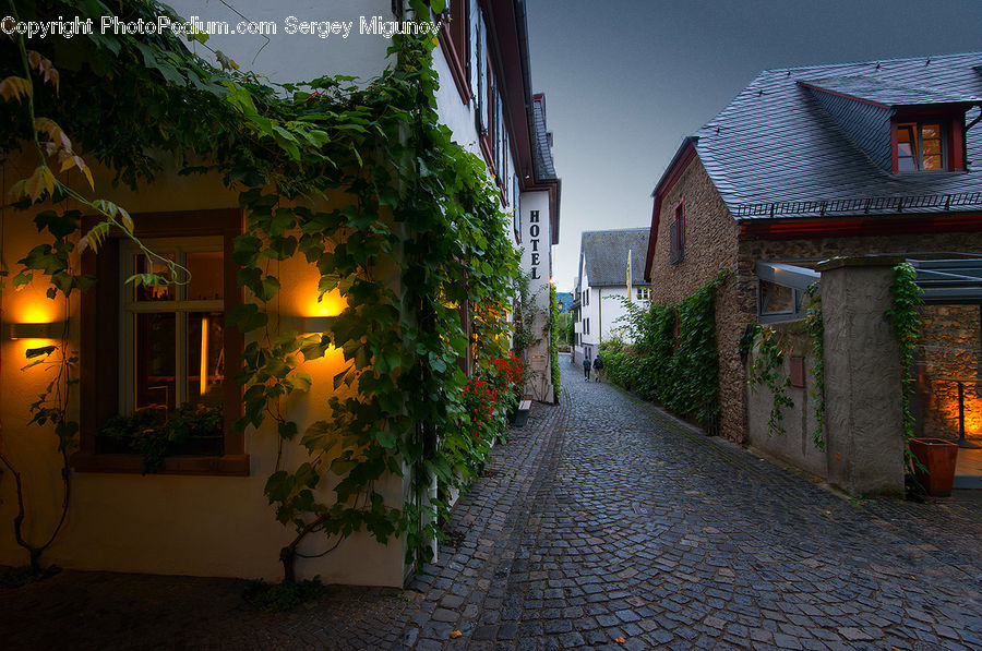 Building, Cottage, Housing, Cobblestone, Pavement, Walkway, Ivy