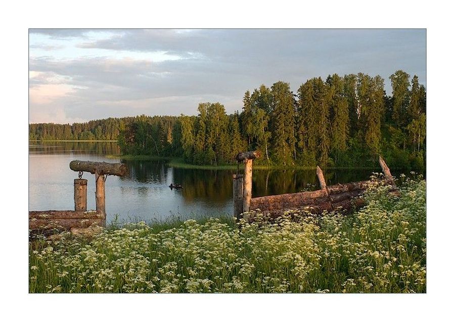 Outdoors, Pond, Water, Conifer, Fir, Pine, Spruce