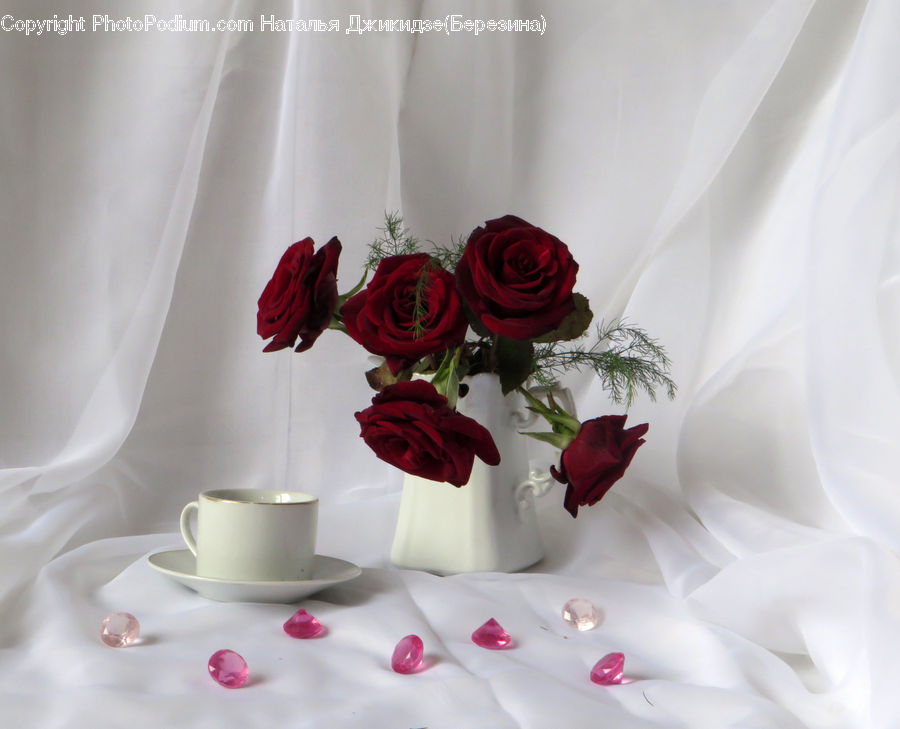 Blossom, Flower, Plant, Rose, Potted Plant, Flower Arrangement, Flower Bouquet