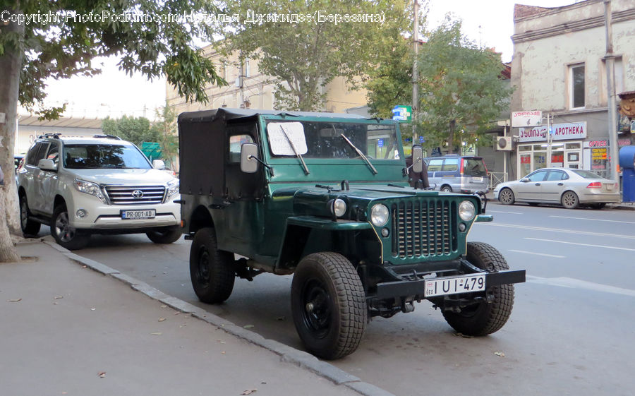Car, Suv, Vehicle, Jeep, Plant, Vegetation, Engine