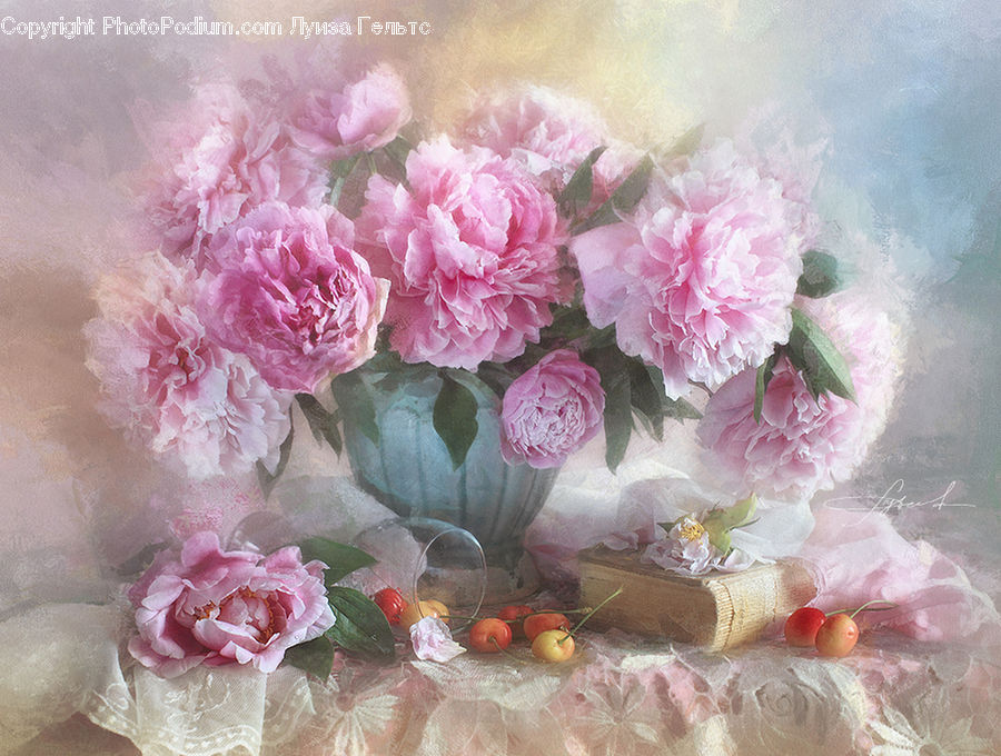 Blossom, Carnation, Flower, Plant, Flower Arrangement, Flower Bouquet, Flora