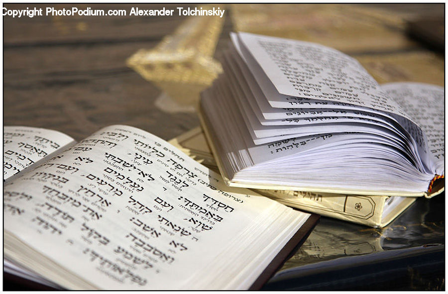Diary, Text