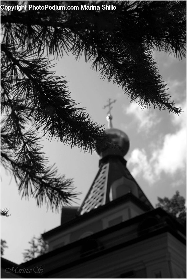 Building, Housing, Villa, Beacon, Lighthouse, Water Tower, Plant