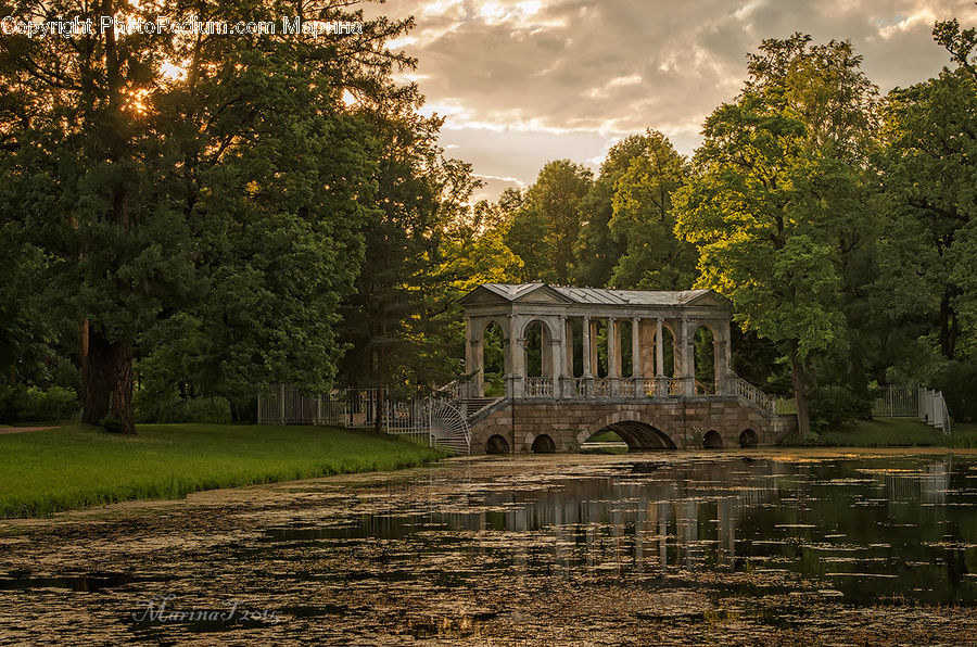 Gazebo, Architecture, Mansion, Conifer, Plant, Tree, Wood