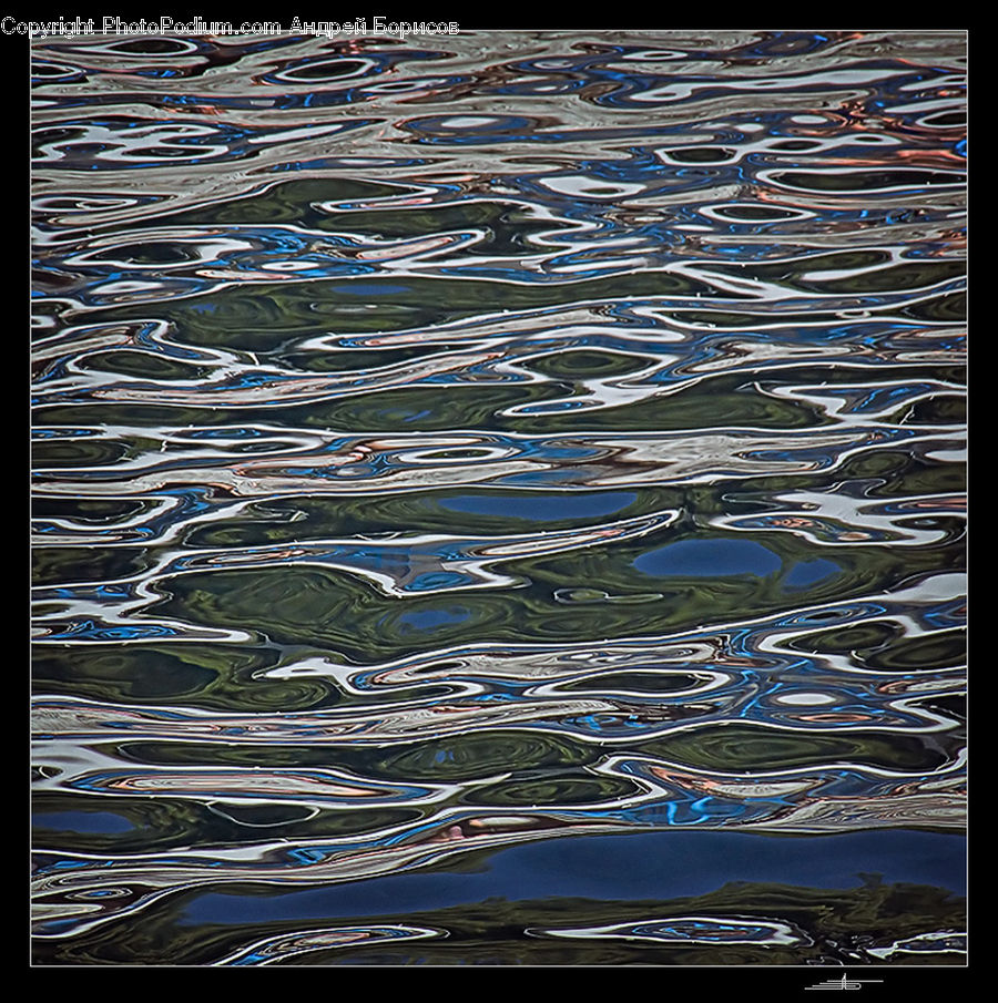 Fish, Herring, Sardine, Sea Life, Outdoors, Ripple, Water