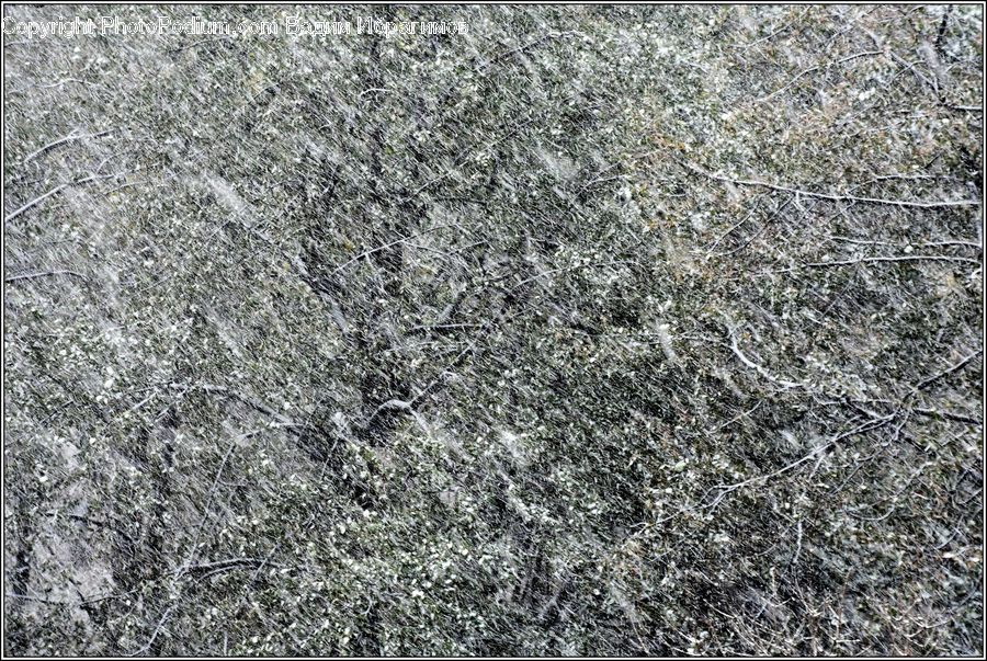 Frost, Ice, Outdoors, Snow, Ground, Soil, Field