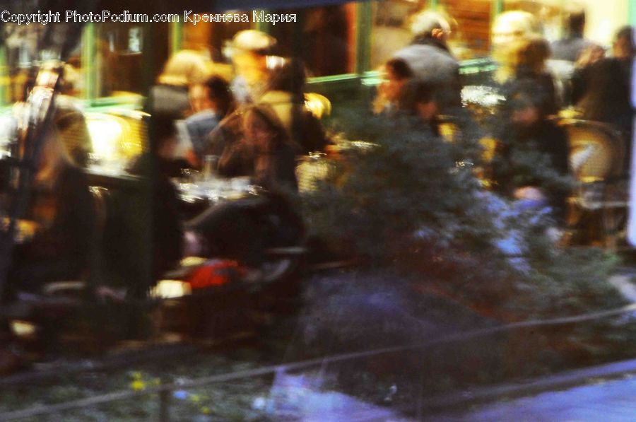 People, Person, Human, Beverage, Drink, Automobile, Car