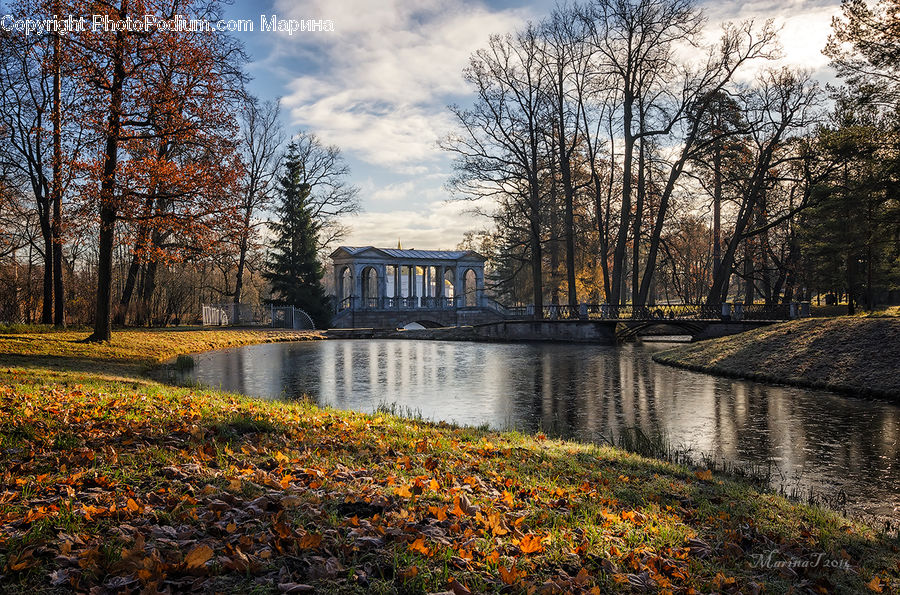 Park, Landscape, Nature, Scenery