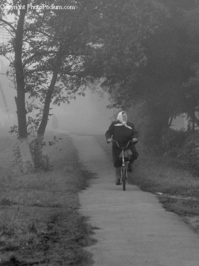 Human, People, Person, Path, Trail, Bicycle, Bike