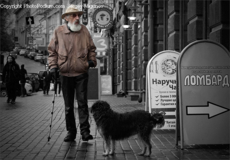 Human, People, Person, Alley, Alleyway, Road, Street