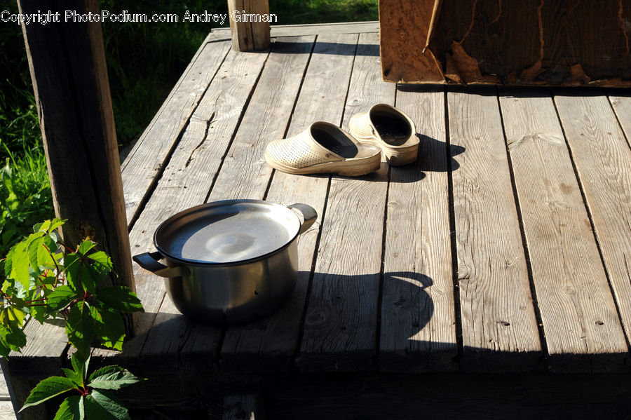 Footwear, Shoe, Plant, Potted Plant, Acanthaceae, Annonaceae, Blossom