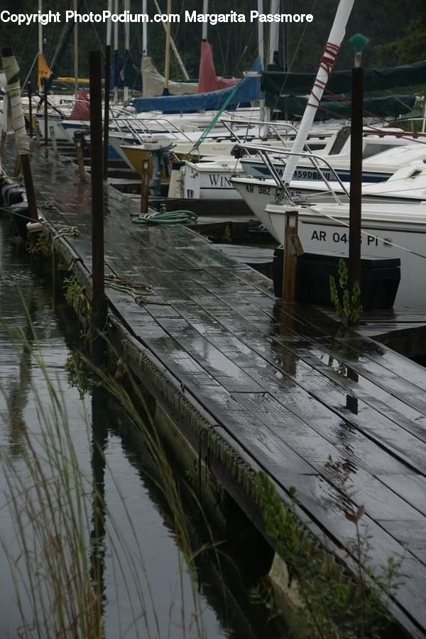 Dock, Landing, Pier, Boat, Watercraft, Plant, Potted Plant