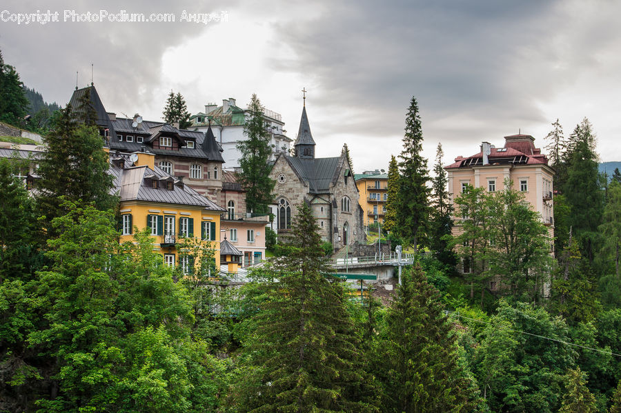 Architecture, Castle, Fort, Plant, Tree, Building, Housing