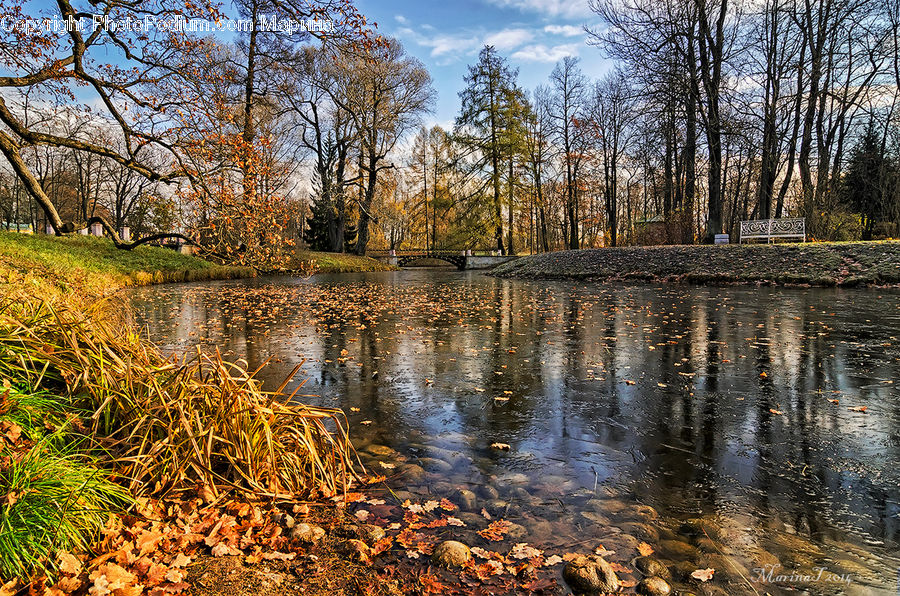 Outdoors, Pond, Water, Moss, Plant, Land, Marsh