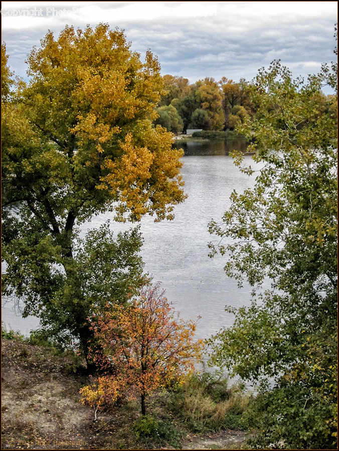 Creek, Outdoors, River, Water, Land, Marsh, Pond