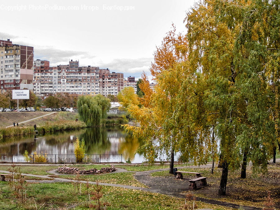Outdoors, Pond, Water, Campus, City, Downtown, Urban