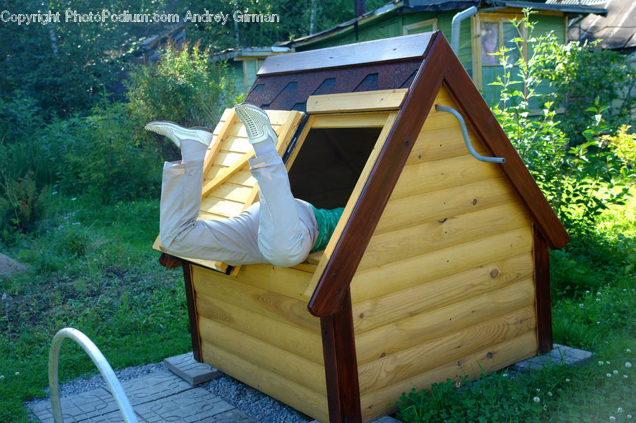 Chair, Furniture, Dog House, Box, Crate, Boot, Cowboy Boot