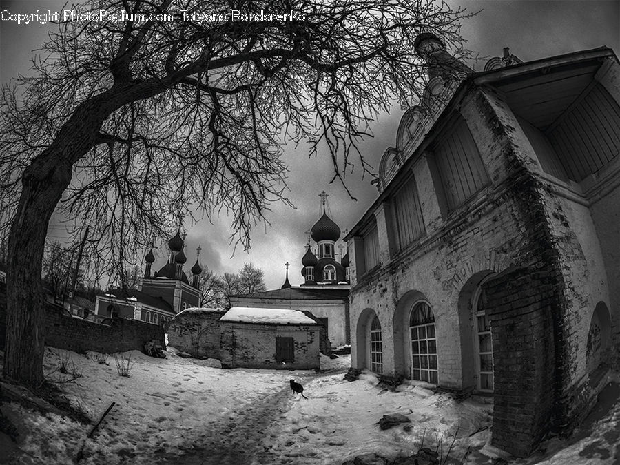 Alley, Alleyway, Road, Street, Town, Building, Housing