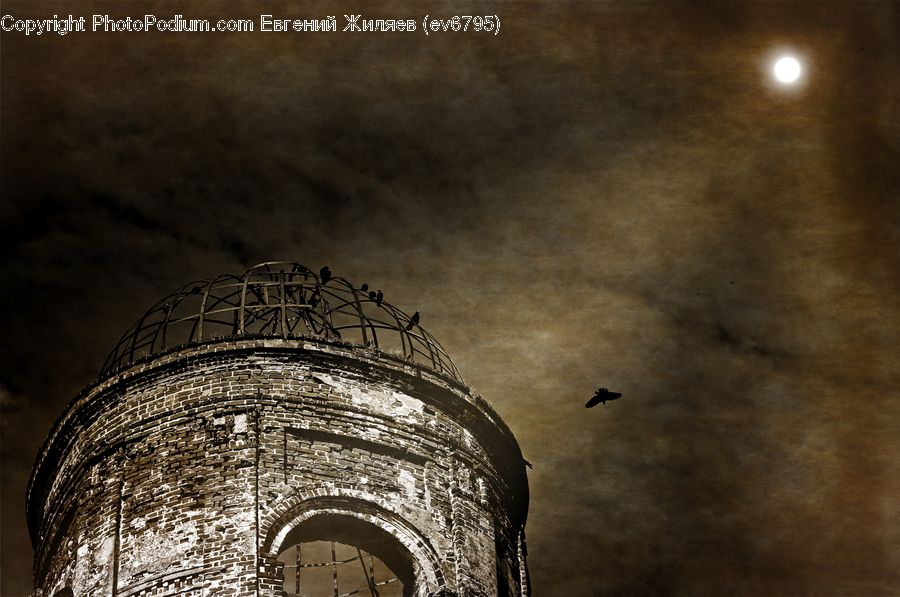 Architecture, Bell Tower, Clock Tower, Tower, Carnival, Festival, Parade