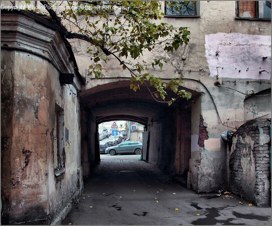 Ivy, Plant, Vine, Alley, Alleyway, Road, Street
