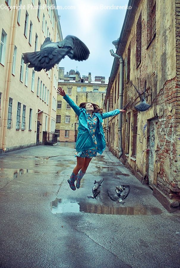 People, Person, Human, Bird, Blackbird, Crow, Pigeon