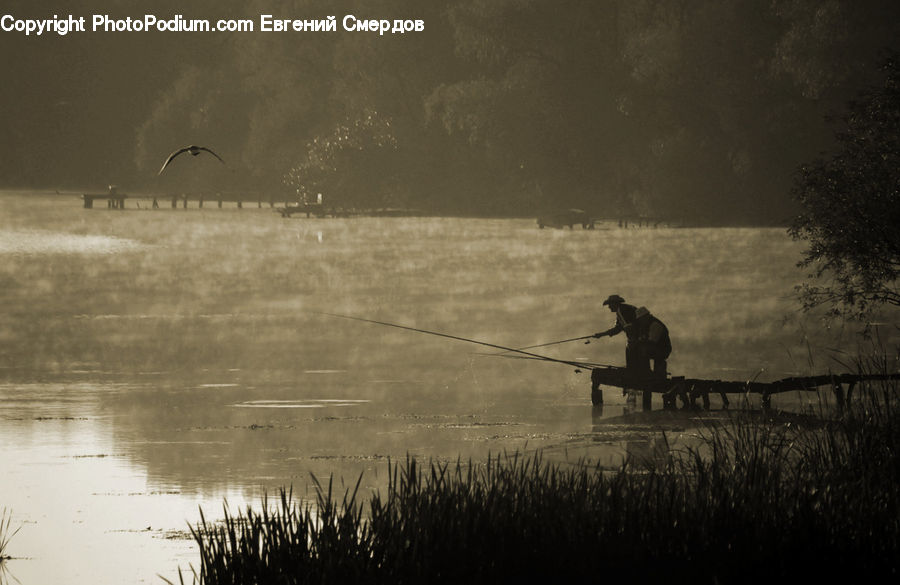 Boat, Canoe, Rowboat, Leisure Activities, Car, Wagon