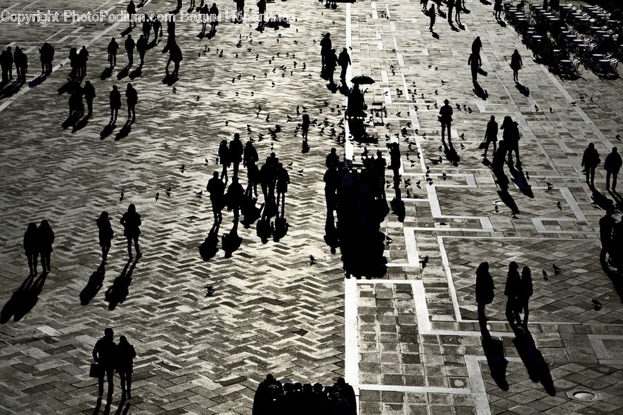 People, Person, Human, Silhouette, Crowd, Outdoors