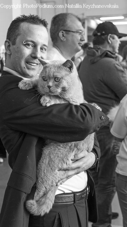 People, Person, Human, Abyssinian, Animal, Cat, Mammal