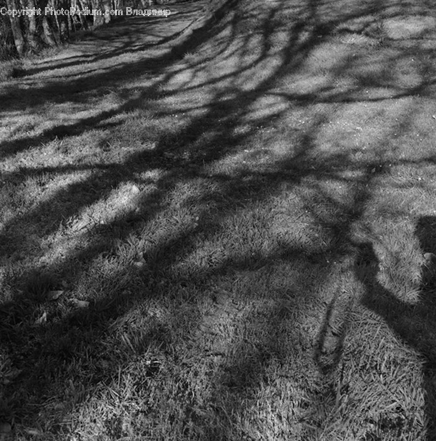 Outdoors, Sand, Soil, Ground, Field, Asphalt, Tarmac