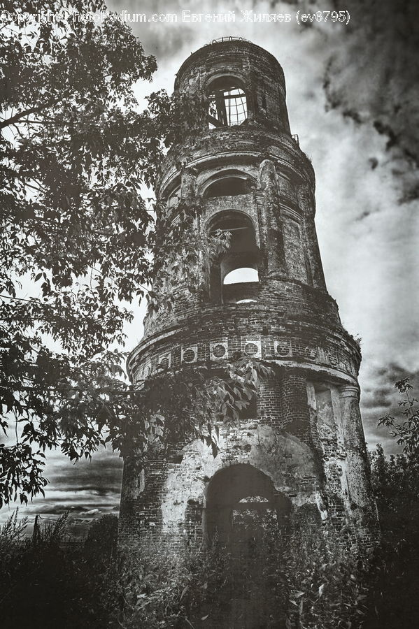 Arch, Architecture, Castle, Fort, Plant, Tree, Tower