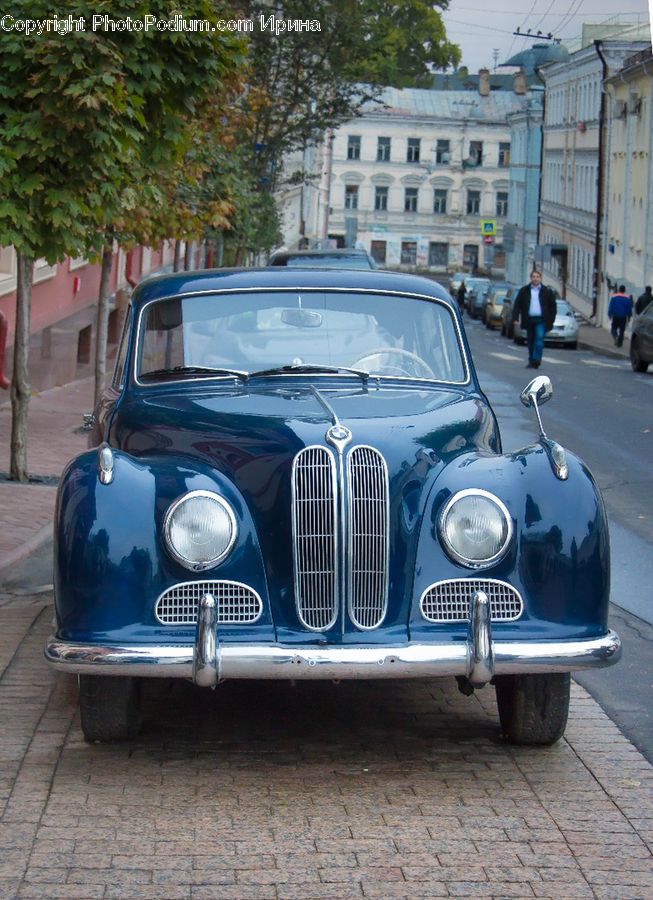 Car, Jaguar Car, Plant, Potted Plant, Automobile, Vehicle, Coupe