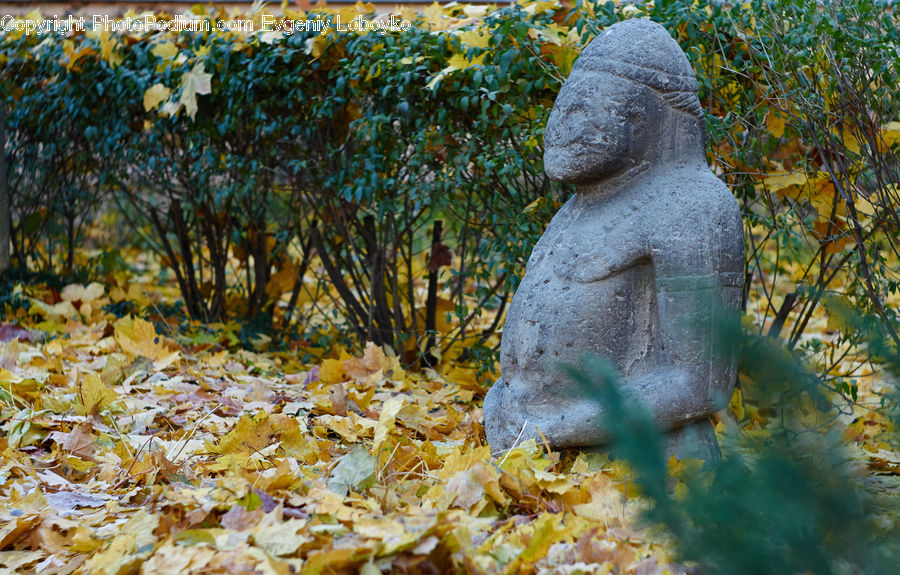 Buddha, Person, Shrine, Temple, Birch, Tree, Wood