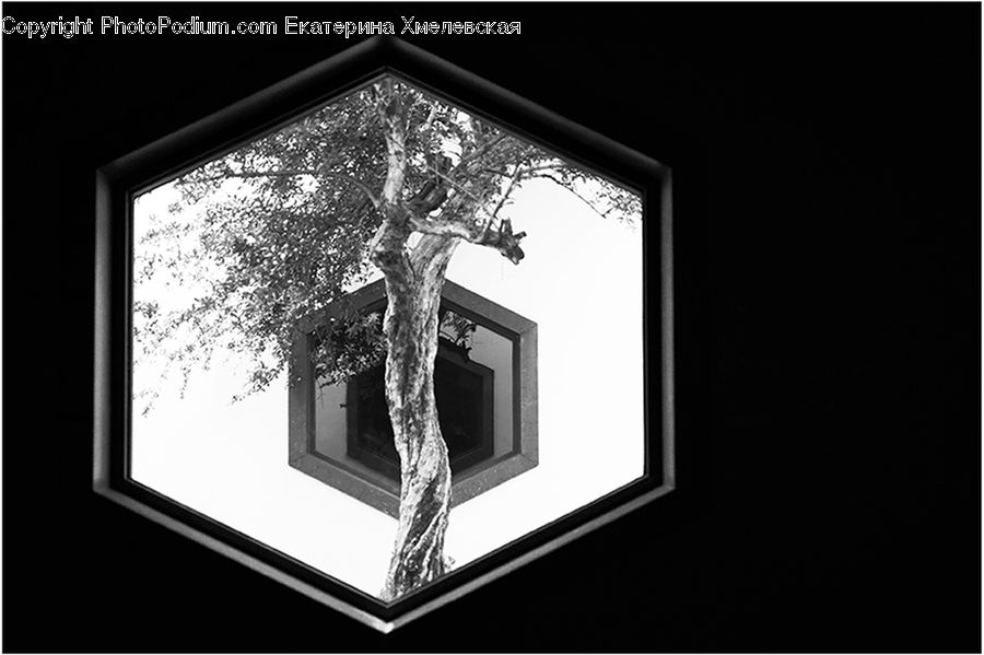 Cross, Crucifix, Art, Sculpture, Statue, Plant, Tree