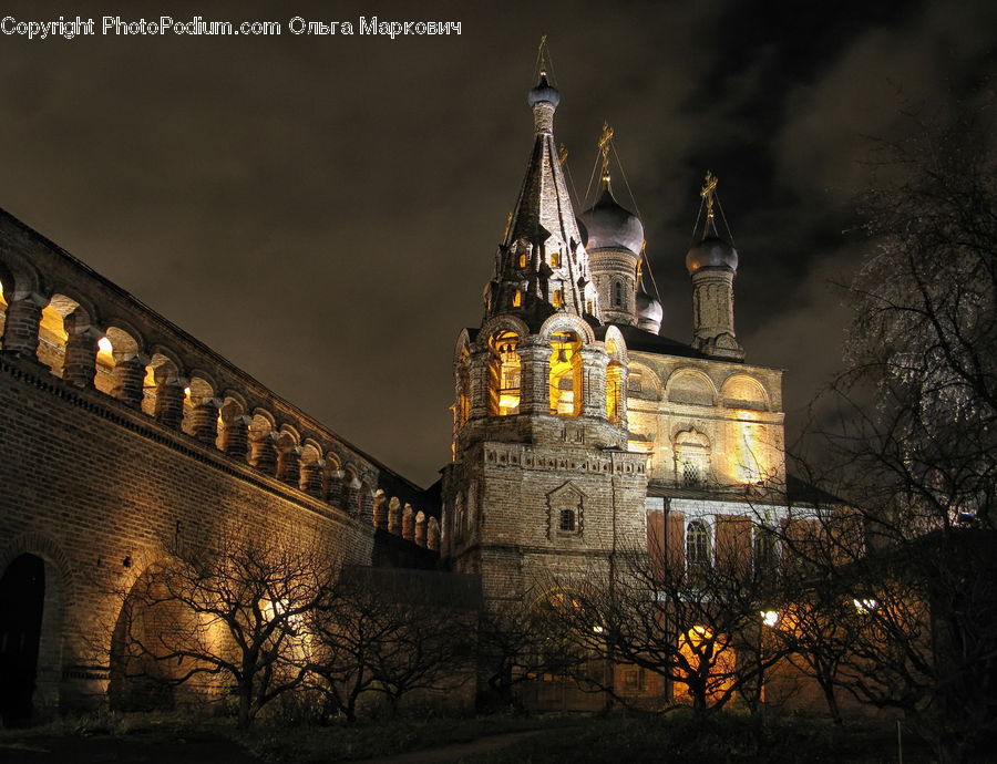 Architecture, Castle, Fort, Plant, Tree, Cathedral, Church