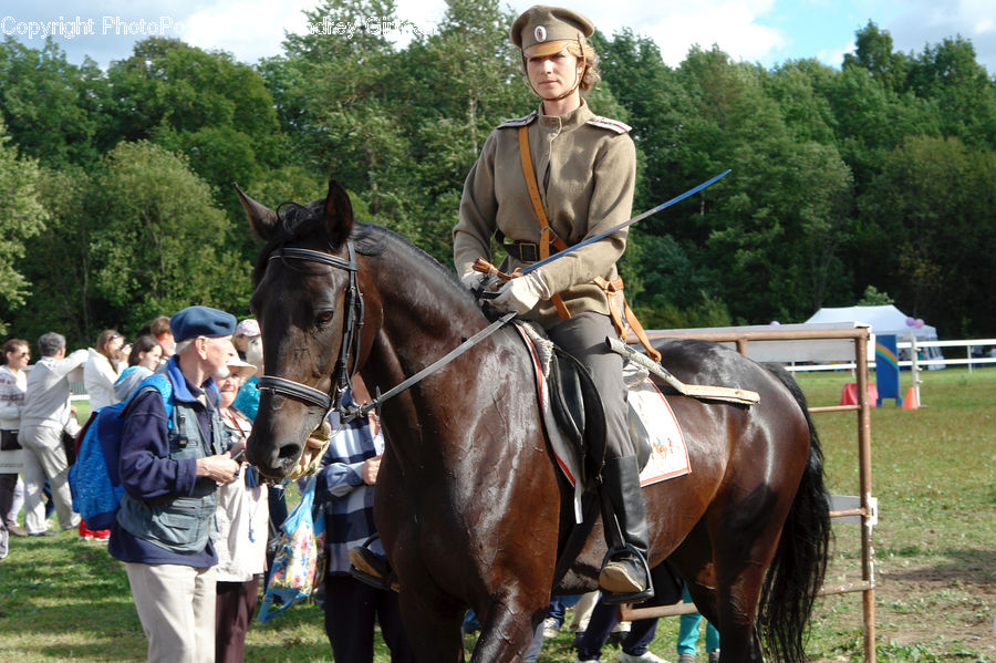 Human, People, Person, Animal, Equestrian, Horse, Crowd