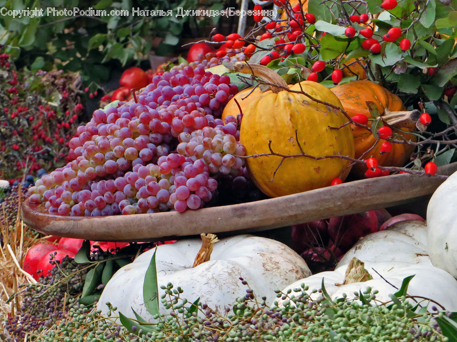 Fruit, Persimmon, Apple, Produce, Vegetable, Market, Bazaar