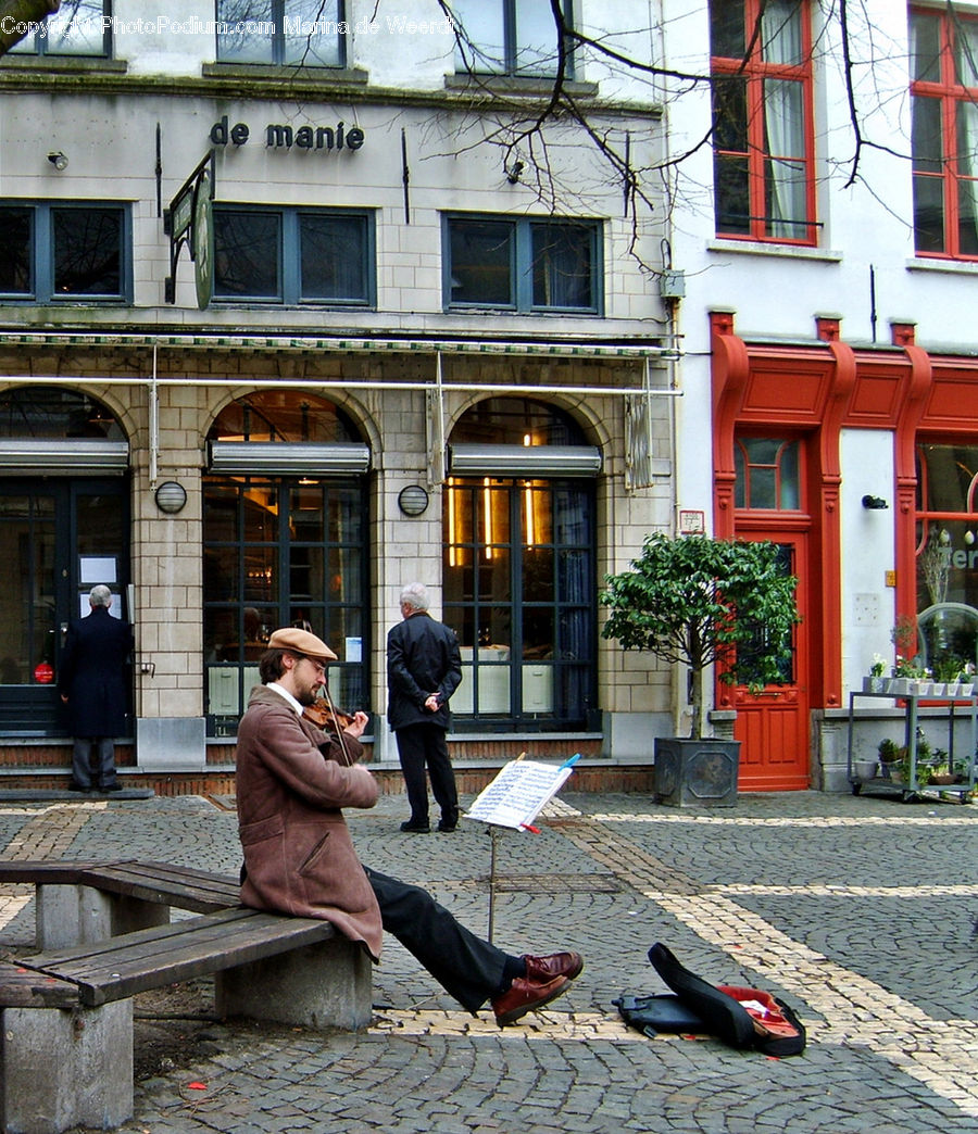 Plant, Potted Plant, Bench, Fiddle, Musical Instrument, Viola, Violin