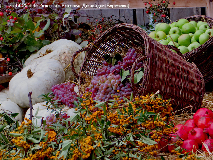 Market, Produce, Apple, Fruit, Gourd, Vegetable, Blossom