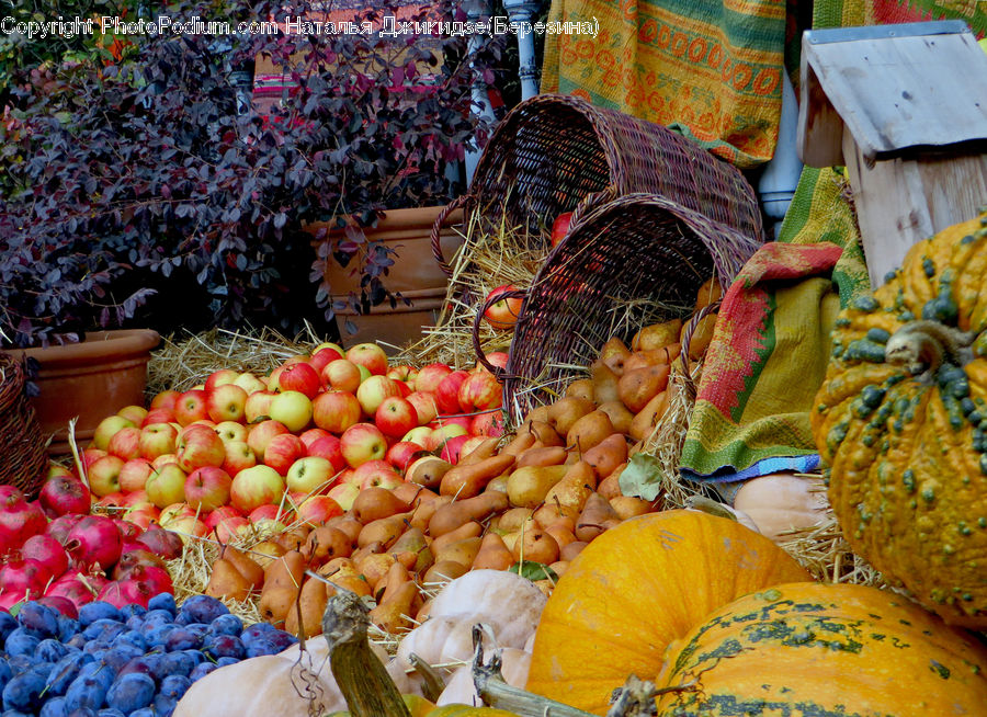 Plant, Potted Plant, Fruit, Grapes, Apple, Market, Produce