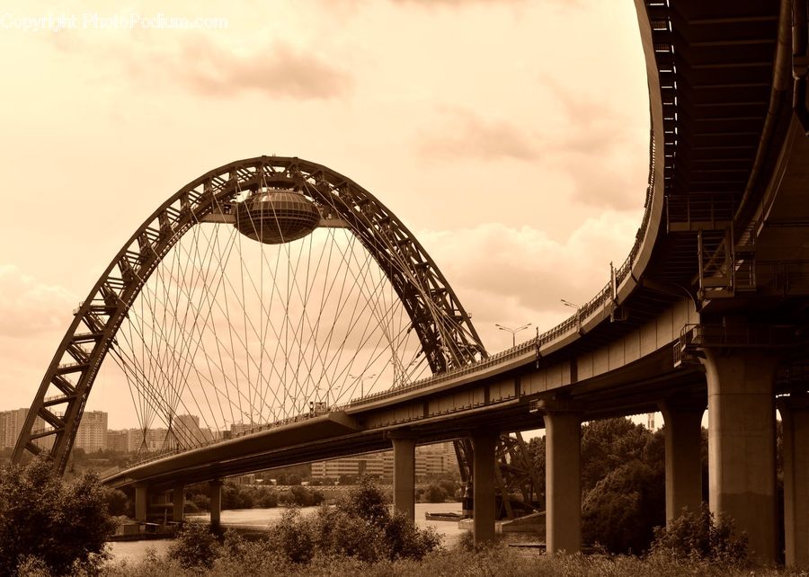 Bridge, Viaduct, Freeway, Overpass, Soil, Bush, Plant
