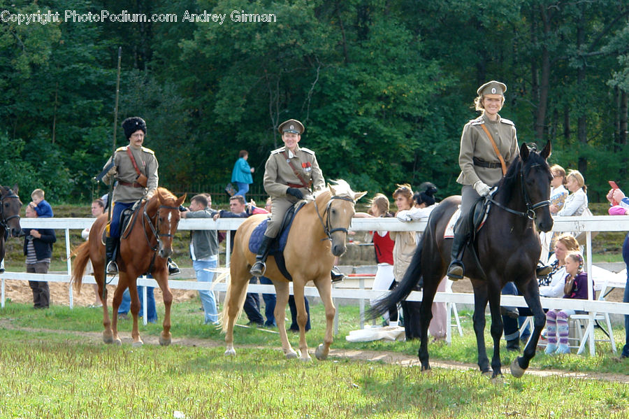 People, Person, Human, Animal, Equestrian, Horse, Mammal