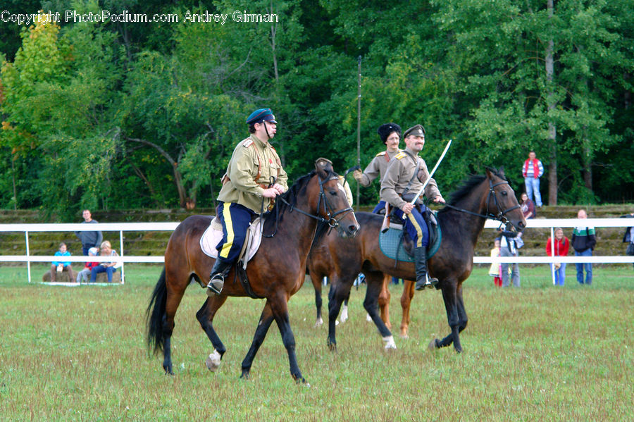 People, Person, Human, Animal, Horse, Mammal, Equestrian