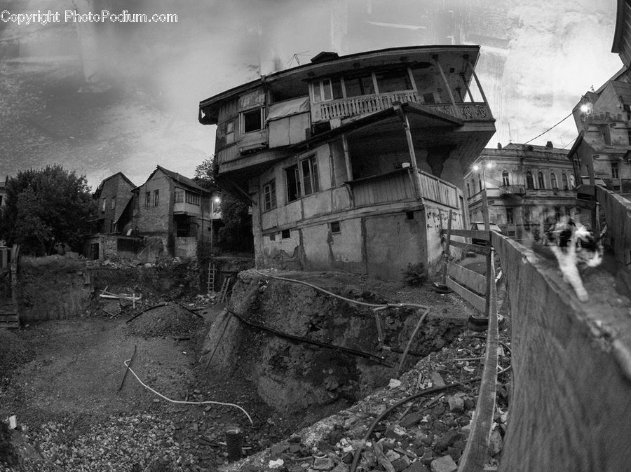 Animal, Canine, Collie, Dog, Mammal, Pet, Rubble