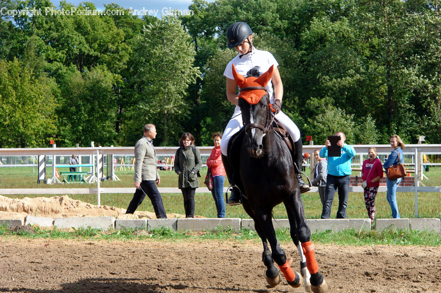 Human, People, Person, Animal, Equestrian, Horse, Mammal